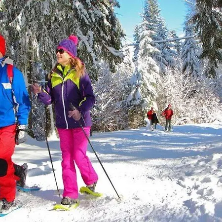 Les Marmottes De Apartamento *