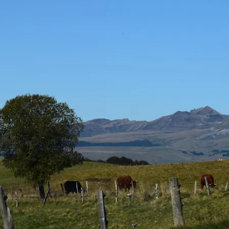 Les Marmottes De Apartamento *
