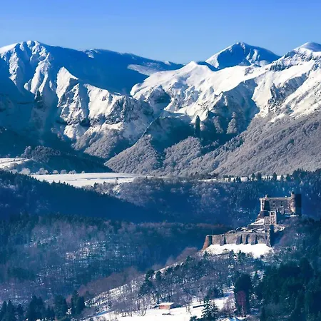 Les Marmottes De Murol