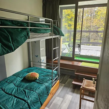 Appartement Les Marmottes De Murol