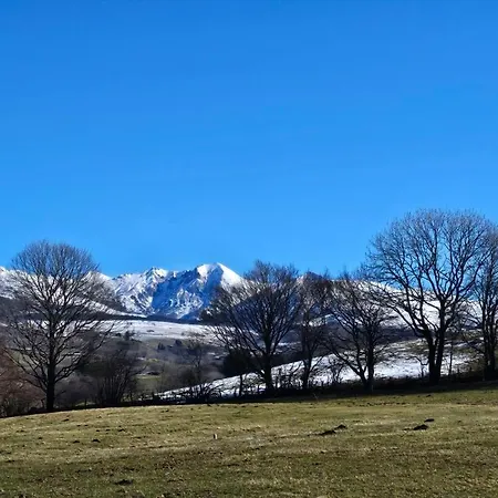 Les Marmottes De * Murol