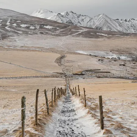 Les Marmottes De * Murol
