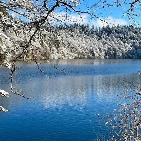 Les Marmottes De * Murol