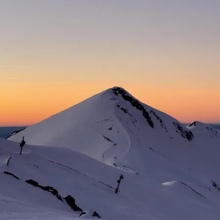 Les Marmottes De Murol