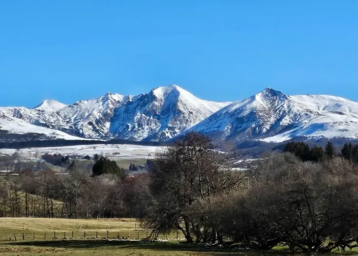 Les Marmottes De Murol