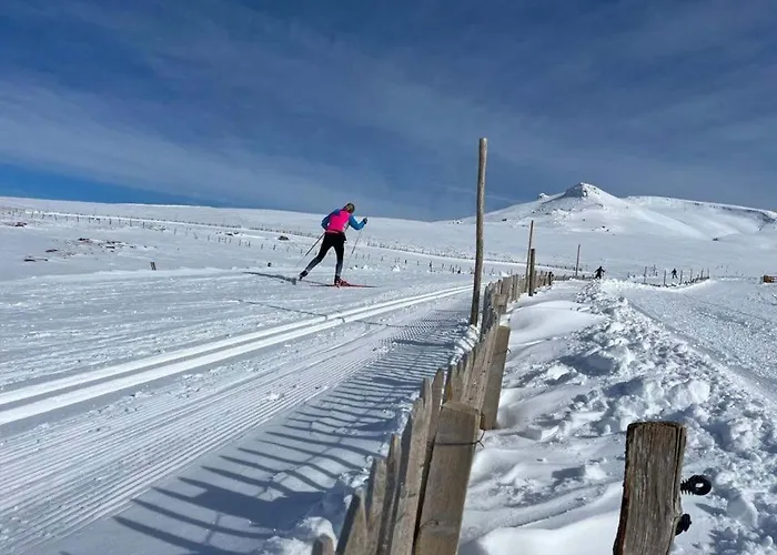 Daire Les Marmottes De