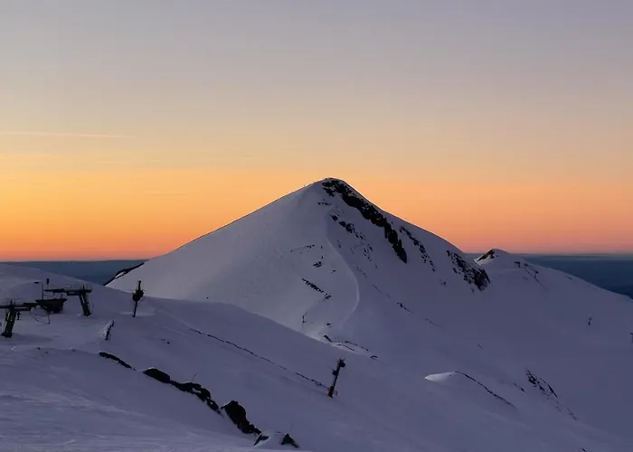 Les Marmottes De Murol